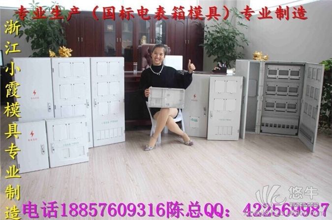 谁家专做注塑模具，12表电表箱塑料模具,12表塑料电表箱模具厂家图1