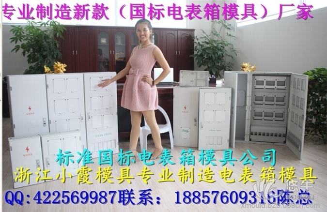 黄岩专做注塑模具，电表箱模具，8表塑胶电表箱模具公司图1