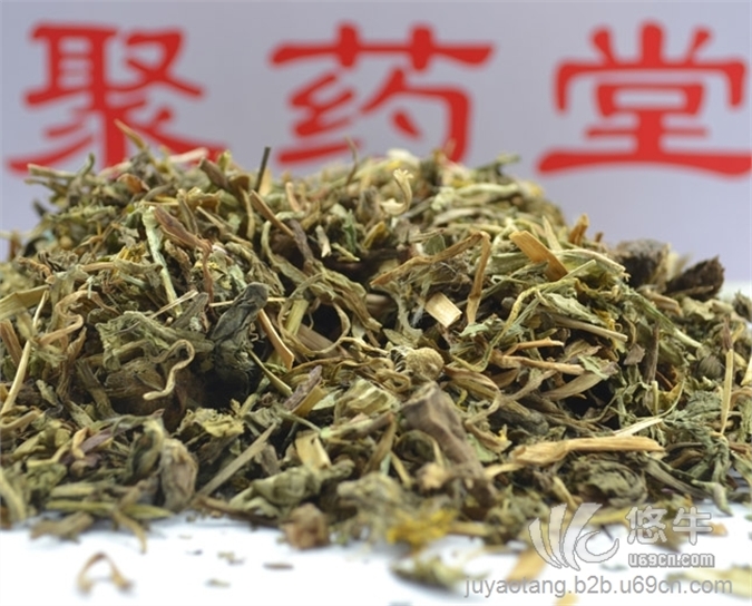 聚药堂蒲公英中药