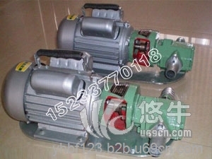 WCB微型手提式齿轮油泵图片与价格图1