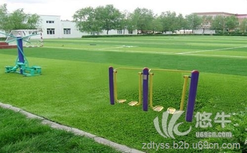 天津足球场人造草坪