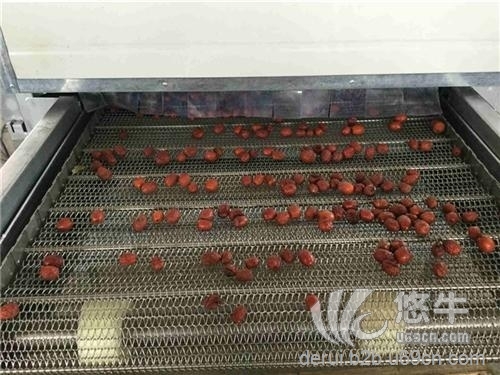 郑州香菇烘干机