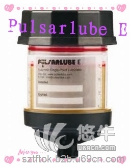 PulsarlubeE自动单点加脂器