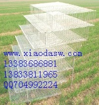 鸡鸽兔笼养殖设备养殖笼具鸡笼鸽子笼兔子笼鹌鹑笼