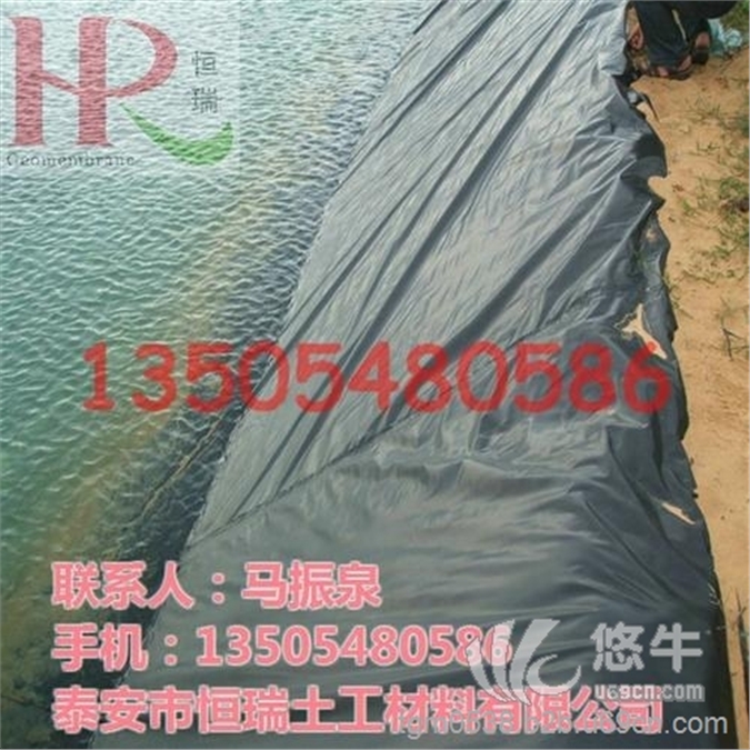 TD-HDPE-2522土工膜图1