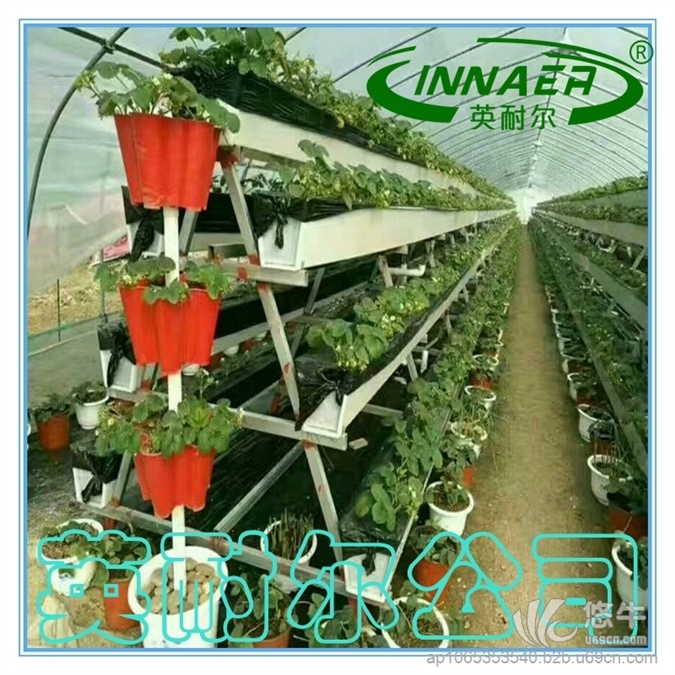 草莓种植槽英耐尔