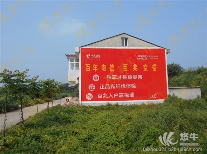 台州农村墙体广告,浙江台州手绘墙体广告、墙壁广告图1