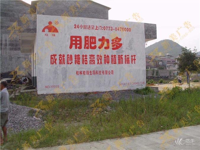 扬州专业乡镇墙体广告图1