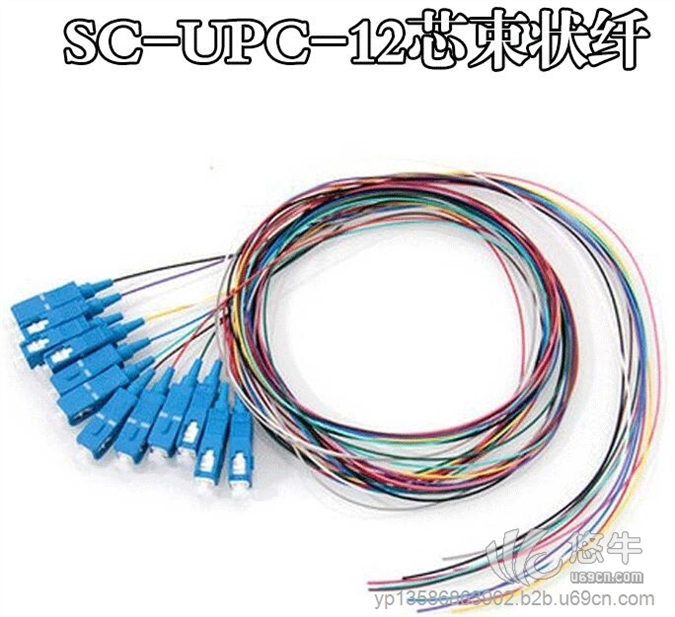 SC12芯光纤尾纤