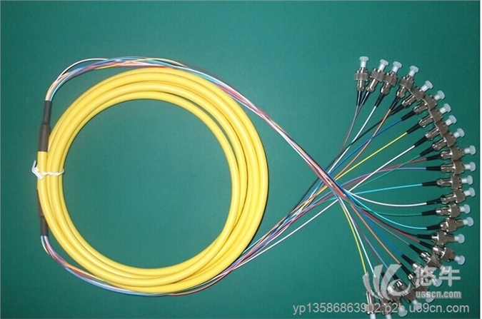 FC电信级12芯尾纤图1