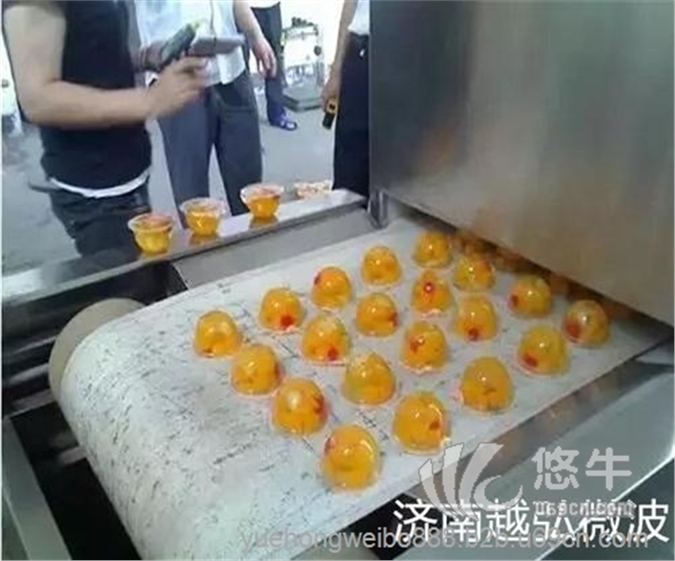 快餐盒饭微波灭菌机加热图1