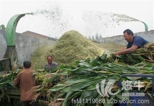 秸稈顆粒機(jī)廠家