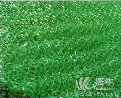 绿化植草土工网垫单价一平方米图1