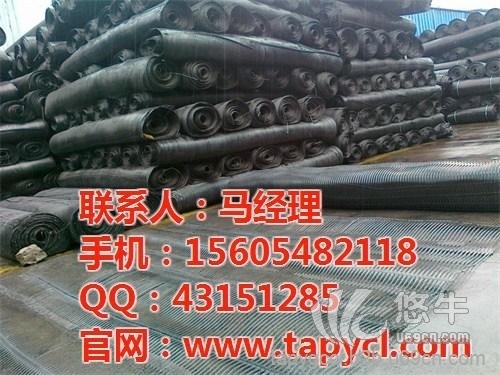 双向土工格栅作用图1