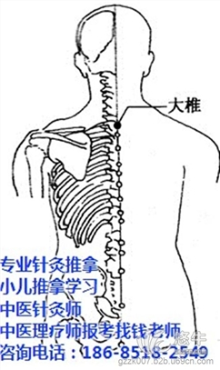 学习针灸推拿图1