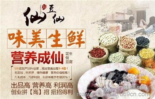 仙豆仙豆腐实力打造图1