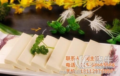 花生豆腐设备图1