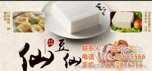 花生豆腐机厂家图1