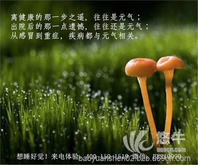 宝元神健康咨询指导图1