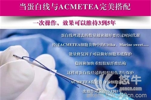 acmetea哪里有卖