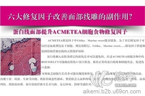 修复型胶原蛋白acmetea