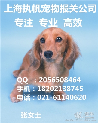上海宠物报关资料信息