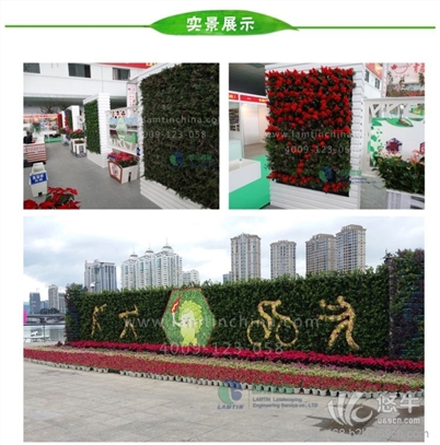 植物墙专用花盆