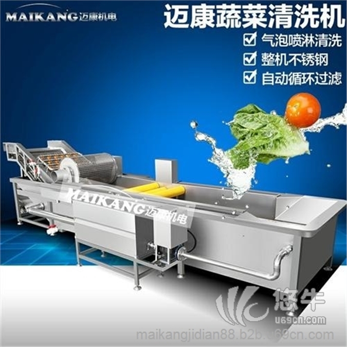 蔬菜清洗机价格图1