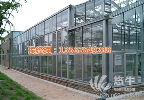 钢结构玻璃温室大棚