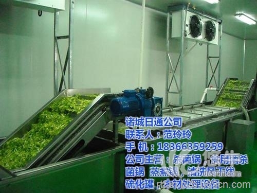 蔬菜清洗机哪家好图1