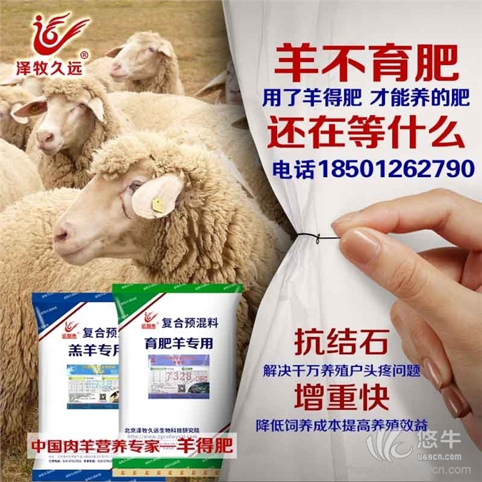 育肥羊专用预混料