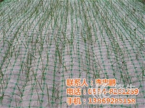 环保草毯抗冲生物毯图1