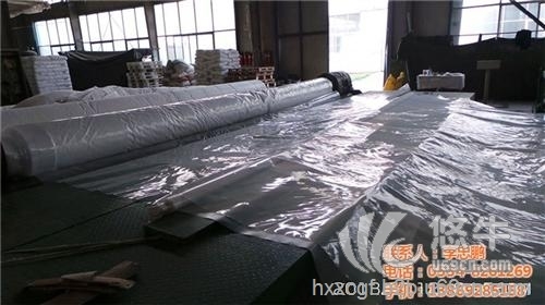 水库防渗复合土工膜图1