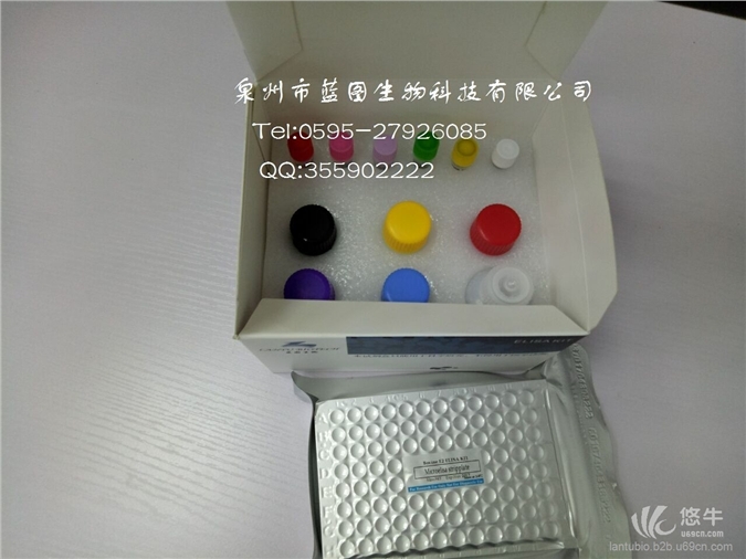 人白细胞介素6试剂盒