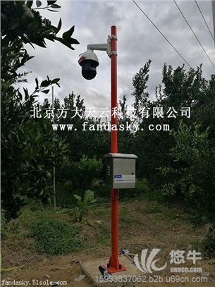 大气电场监测站森林