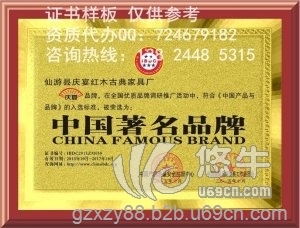 办理中国著名品牌