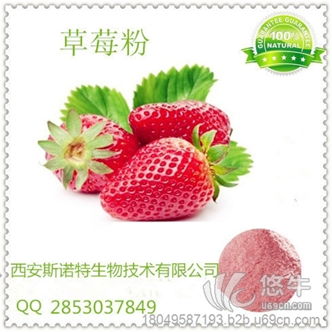 草莓速溶粉 草莓果汁