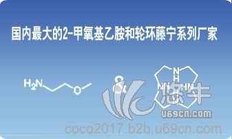 N-叔丁基-3-氯丙