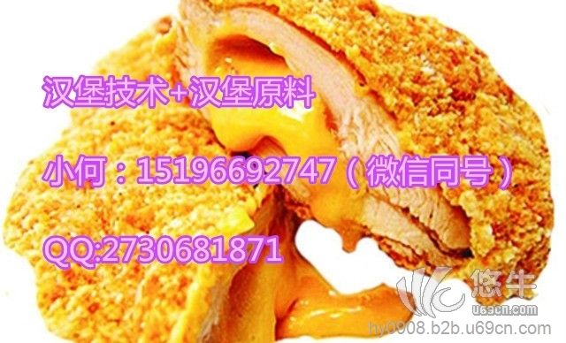 成都锦江区汉堡胚薯条图1