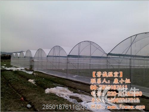 桂林蔬菜大棚建设