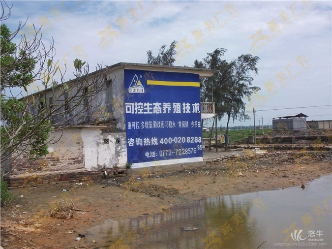 扬州农村墙体广告图1