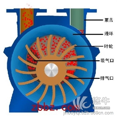 循环水式真空泵工作原理图1