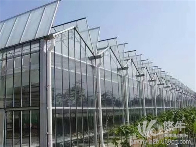 玻璃温室薄膜温室