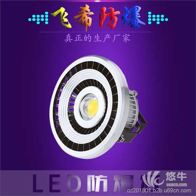 LED防爆节能灯