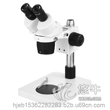 -24B1显微镜