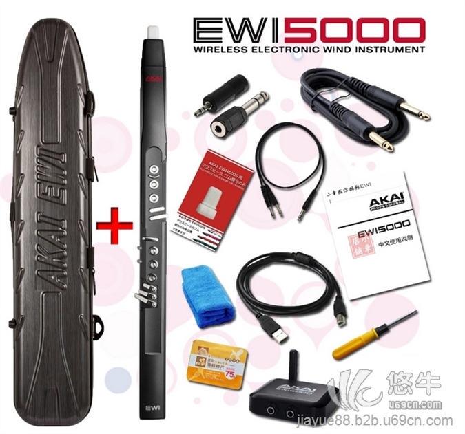 雅佳EWI5000