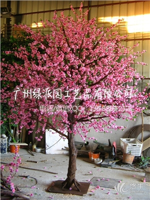 桃花树