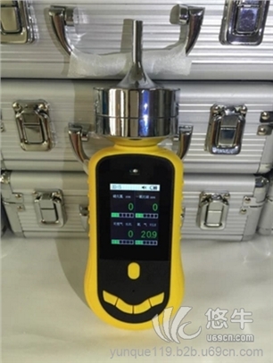 泵吸式气体检测仪
