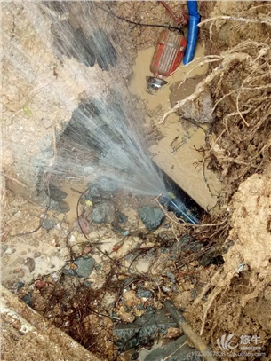 东莞房屋水管漏水检测