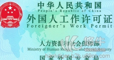 外国人工作签证办理流